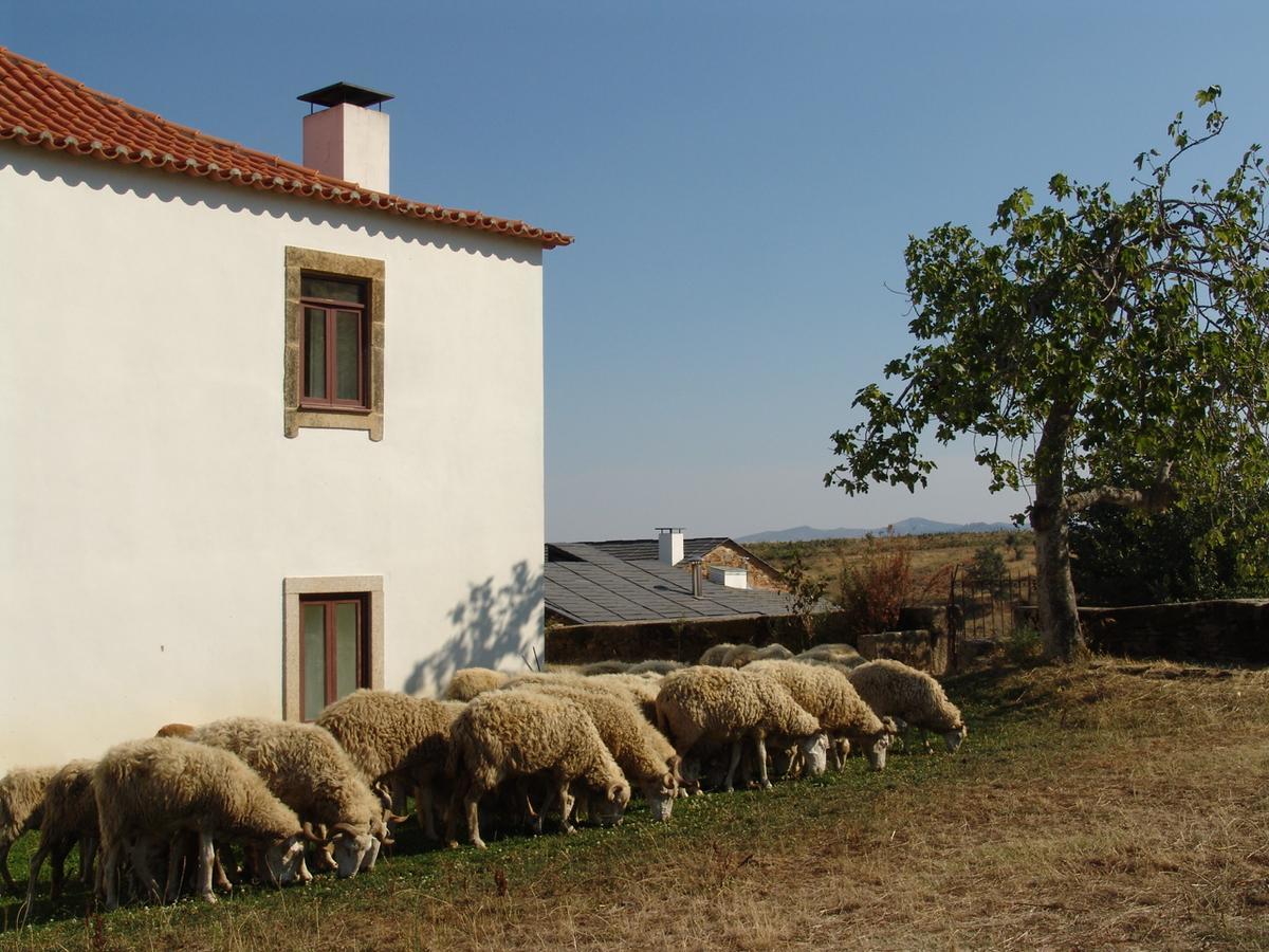 Quinta Da Alagoa Villa Santa Maria de Émeres Exterior foto